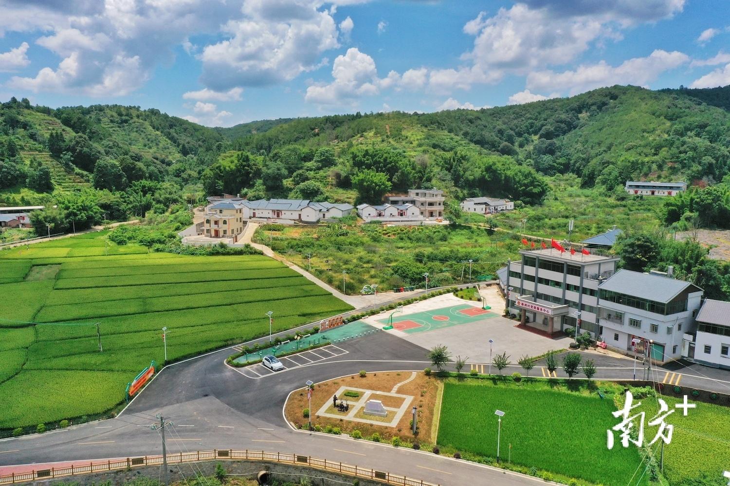 梅州日报最新新闻，掌握获取与阅读新闻的步骤指南