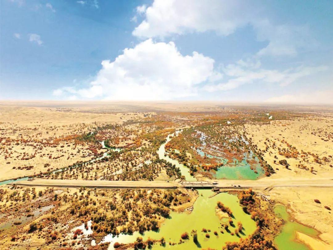 绿洲计划最新探索，自然美景的轻松之旅