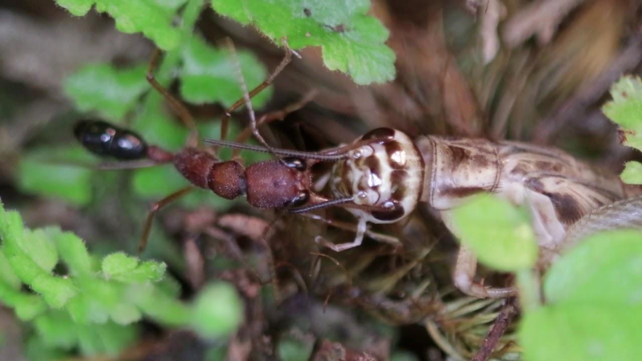 智能未来之窗,重塑生活,开启无限新机遇