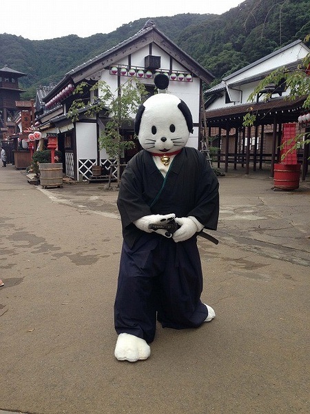 猫侍最新观点阐述