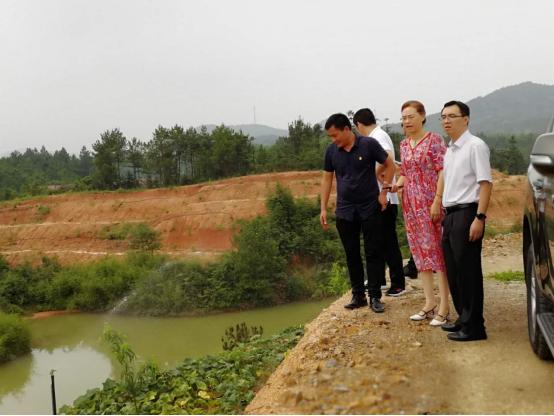 湘乡最新肺炎时期自然探索之旅，寻找内心平静的奇妙旅程