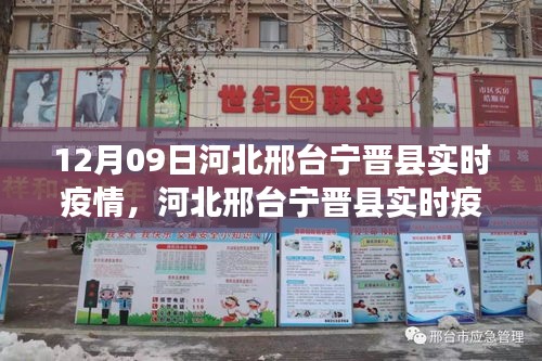 宁晋最新疫情全面解读与应对策略，最新动态及应对策略分享