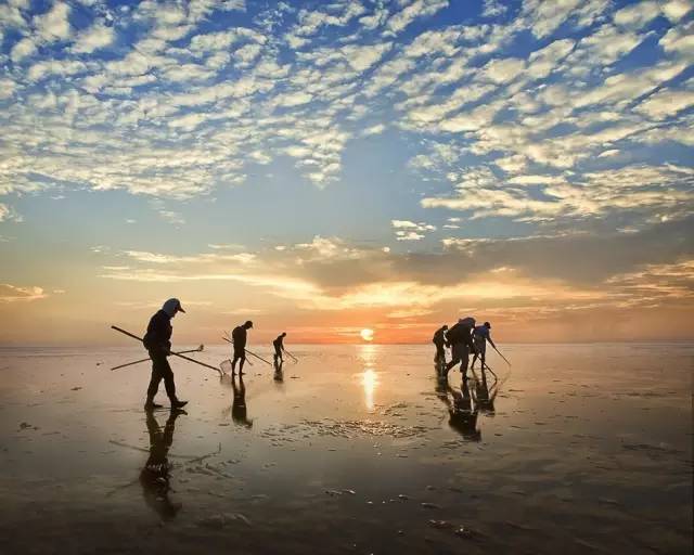 小米最新赶海,小米最新赶海，引领科技潮流，探索智能生活新纪元