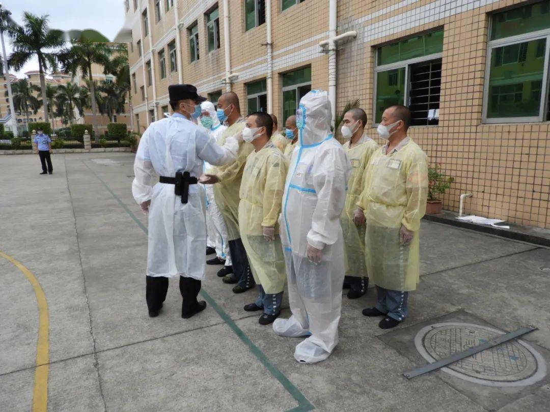 最新疫情监狱论述分析,挑战与应对策略