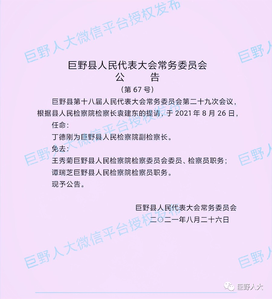 巨野最新公告揭秘，小巷深处的独特风味等你来探索！
