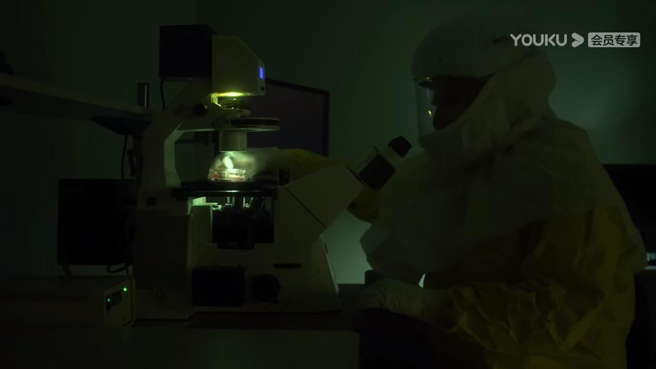 未知病毒探秘，小巷神秘小店背后的真相揭秘