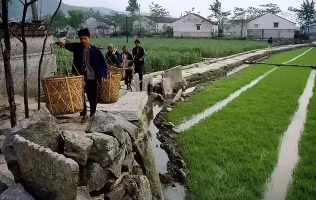 乡村故事最新探秘，小巷深处的特色小店