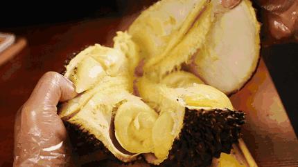 榴莲最新动态揭秘，巷弄深处的榴莲秘境探索