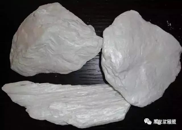 滑石的奇妙之旅，最新应用与温馨日常故事探索