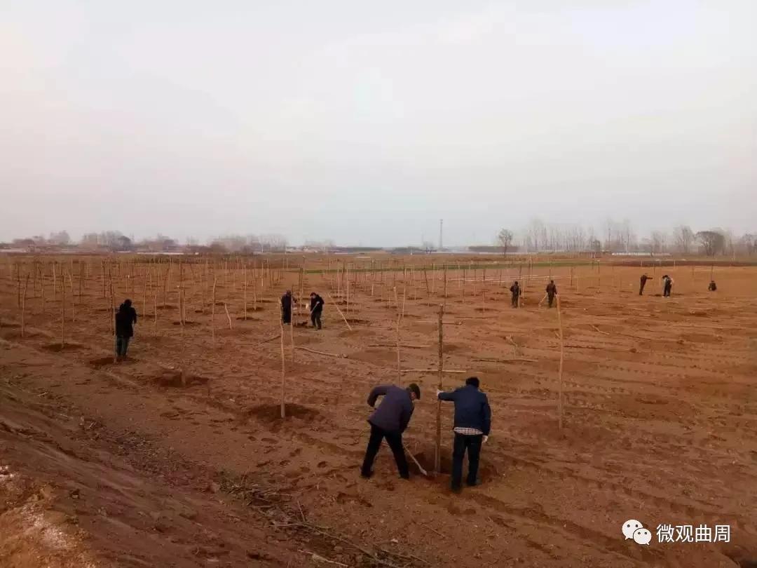 曲周最新疫情实时更新，重要提示请大家务必关注！