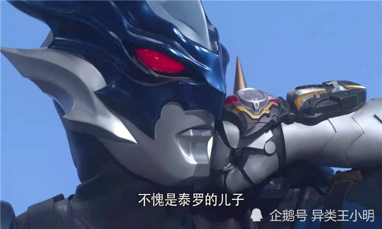 泰迦最新招标，日常故事的温馨与趣味之旅