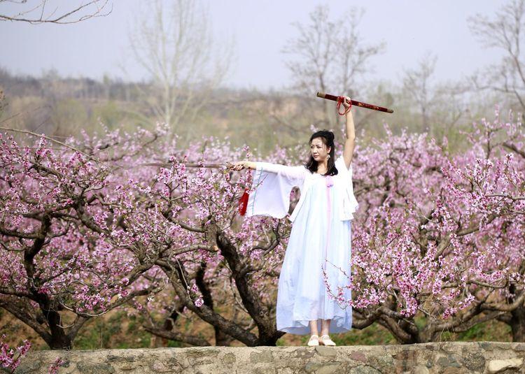 桃花园最新视频,桃花园最新视频观看指南