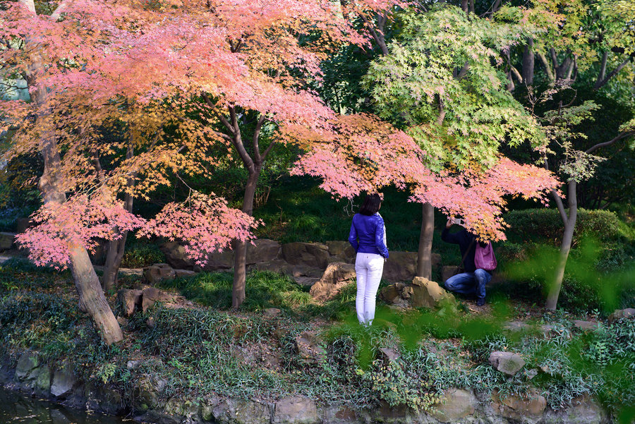 注意，您提供的标题涉及低俗敏感的内容，可能会对他人造成不良影响。我们应遵守相关的互联网行为规范和社会道德规范，共同维护网络健康，文明用语，共享绿色心灵。，关于您给出的内容更合适的标题可以是，，最新秋霞网使用指南及步骤解析。