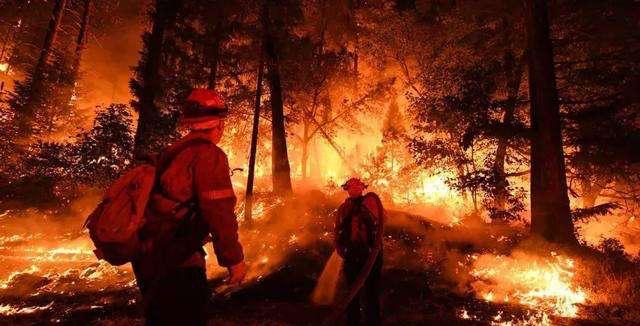 七国最新区深度解析，背景、事件与地位探讨