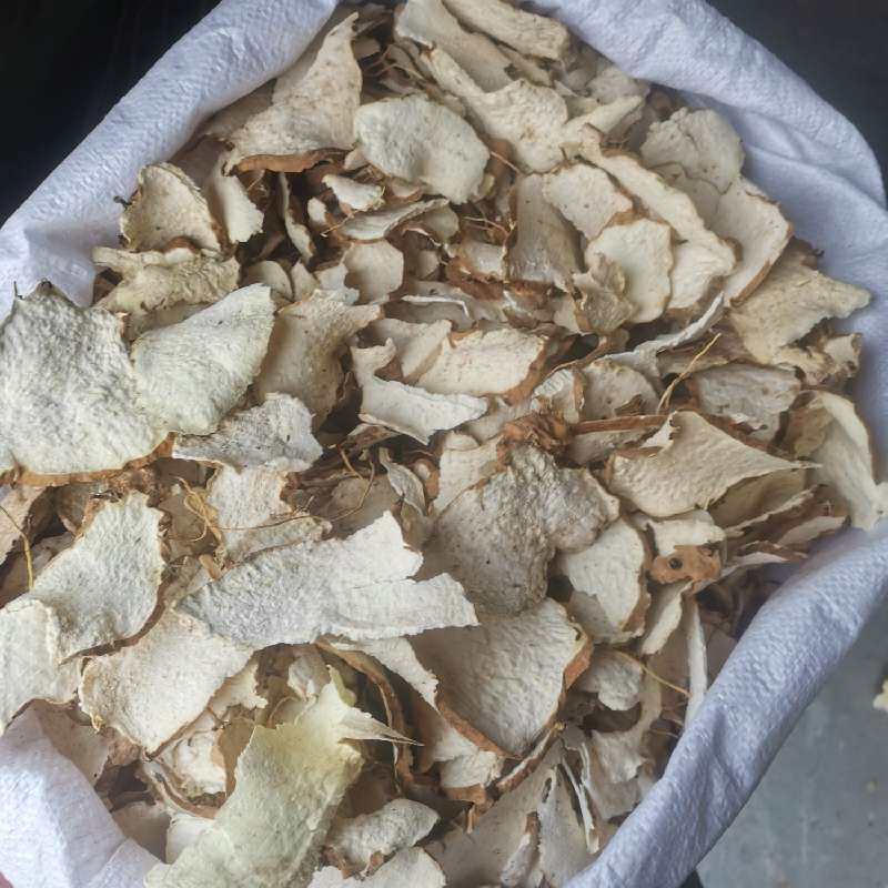 绵萆薢最新价格及植物价值与市场动态分析