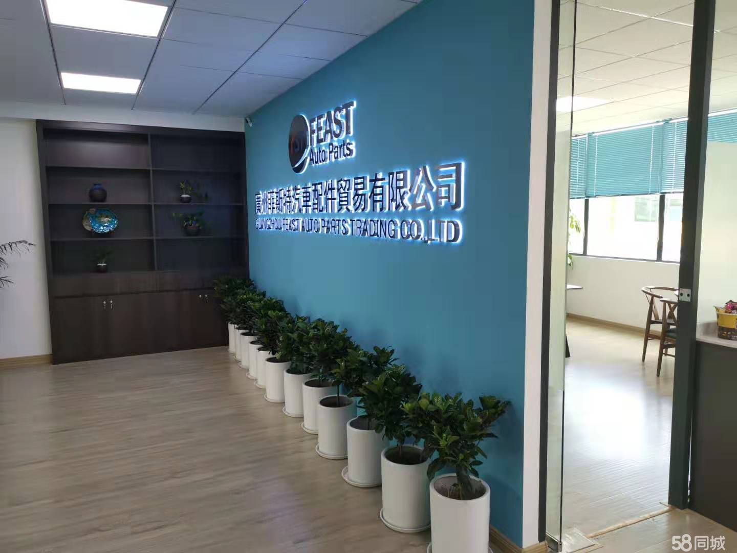 最新有限责任公司，背景、历程与地位概述