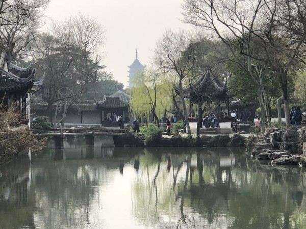 苏州三月春浪漫，一场花海的最新邂逅🌸