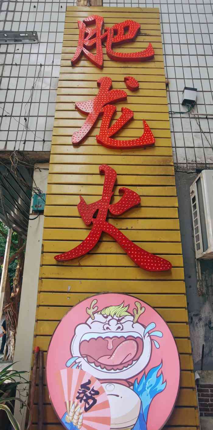 最新款肥龙，日常趣事与友情的温馨纽带探索