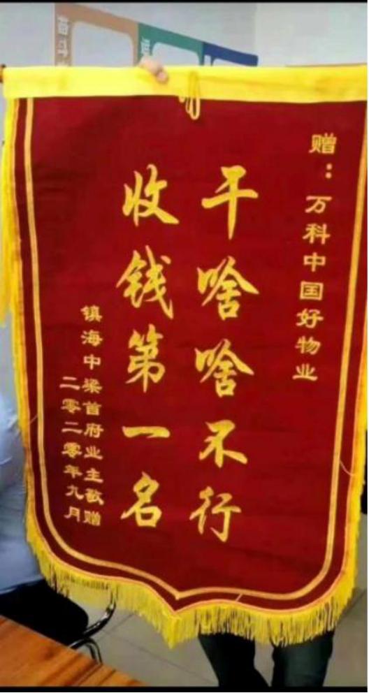 万科锦旗最新动,万科锦旗最新动态，一场探索自然美景的旅行，寻找内心的平和与宁静