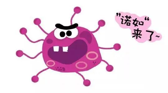 不锈钢金属网带 第299页