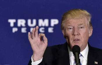 美国最新总统选举动态报道