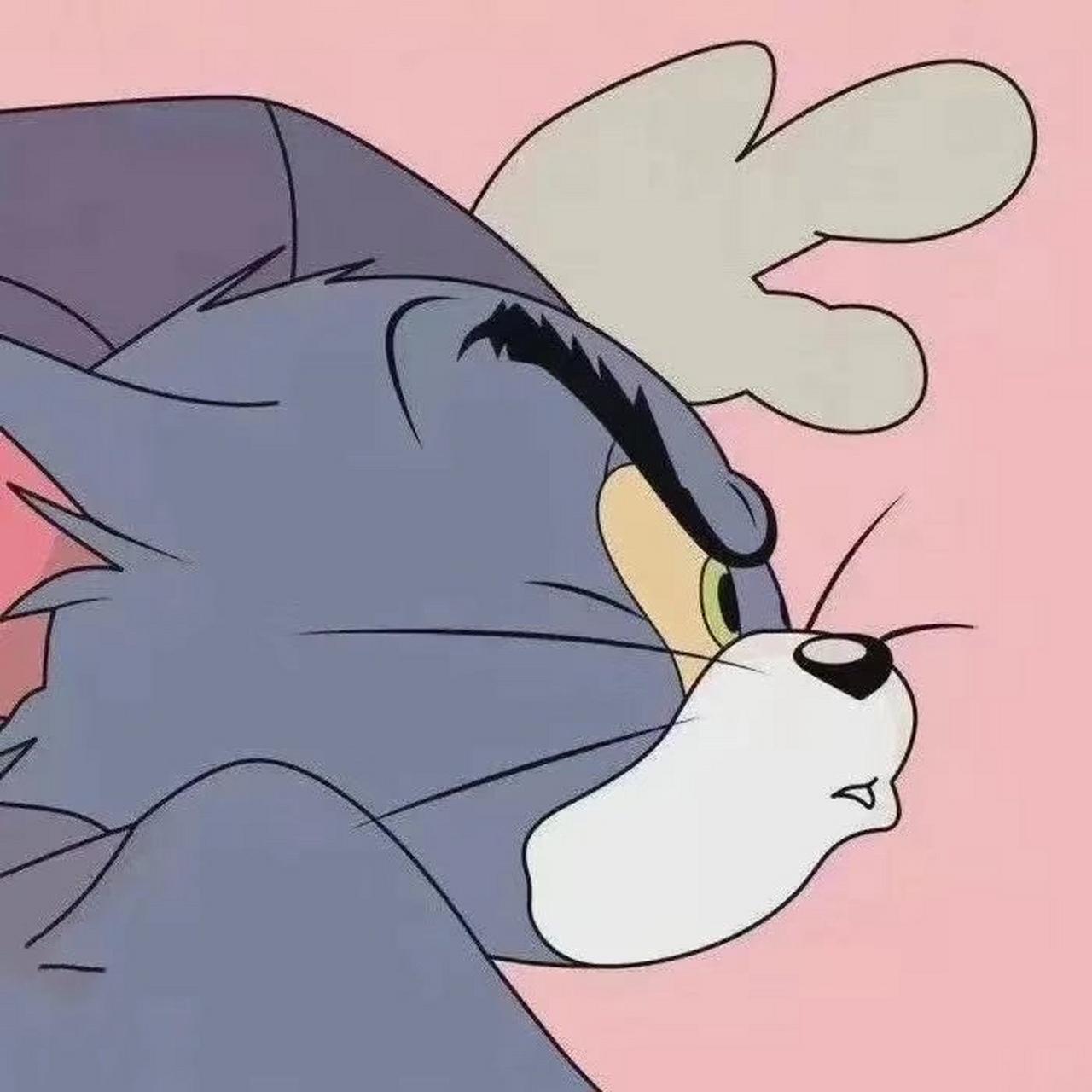 流行文化中的甜蜜瞬间，最新猫和老鼠情侣头像集萃