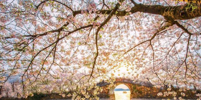 春暖花开最新登录地址及操作指南，适合初学者与进阶用户指南