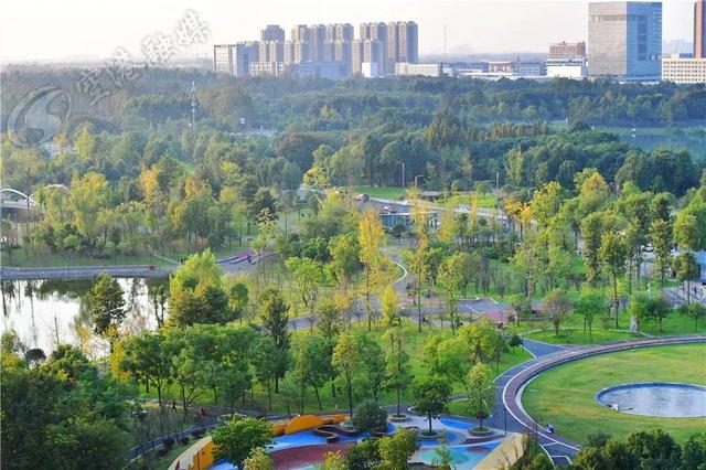 江安河湿地公园最新动态，绝美风景一网打尽！