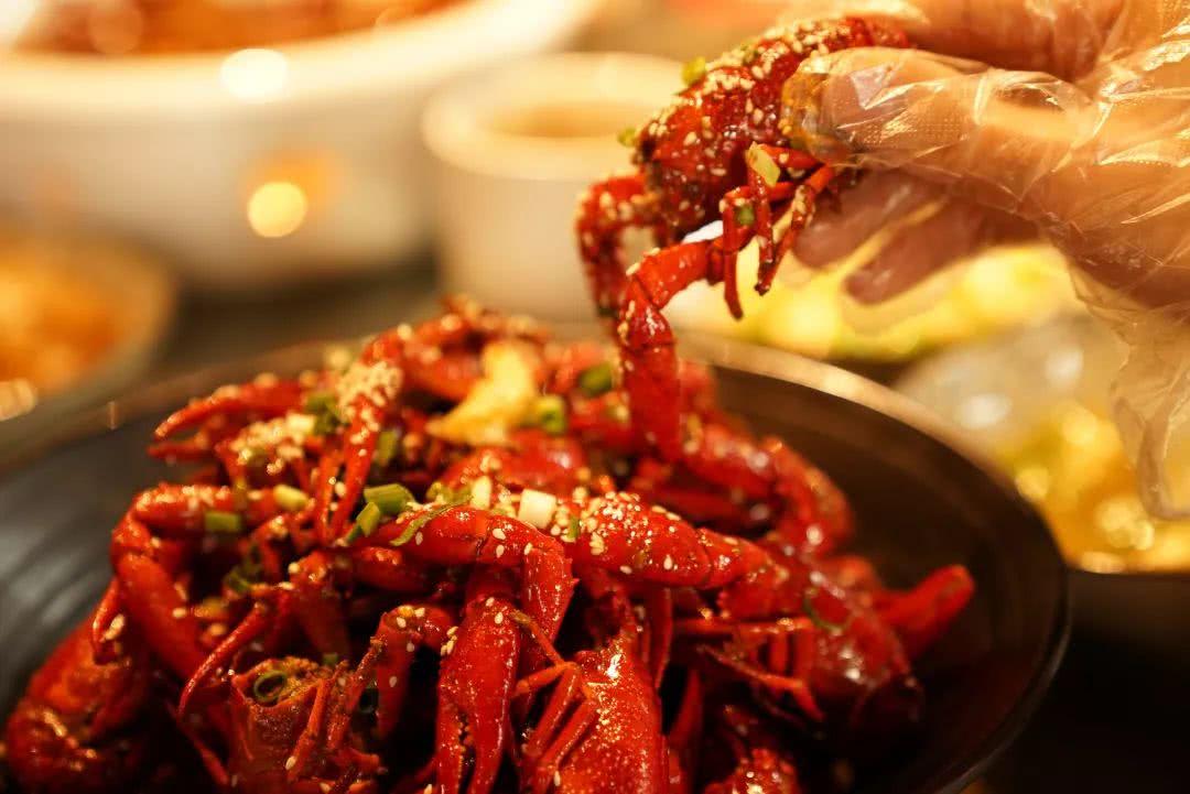 不锈钢链条 第296页