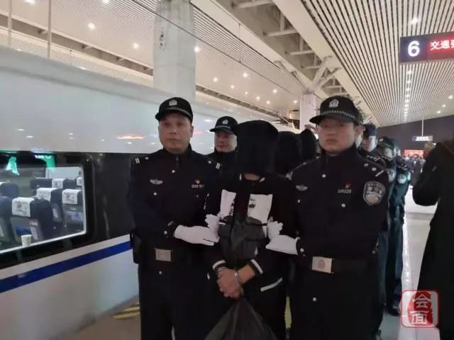 郑州警方抓捕行动背后的日常故事与温暖瞬间