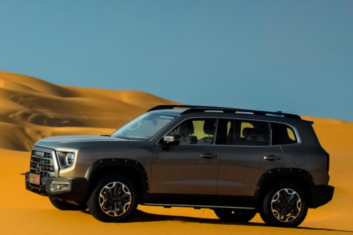 哈佛大狗最新报价深度解析与探讨，全方位探讨最新报价及详细信息