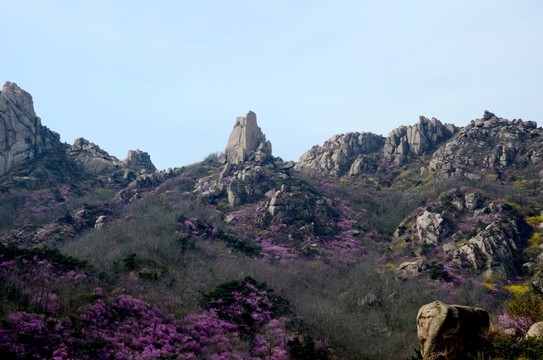 大珠山最新招工信息及其观点论述