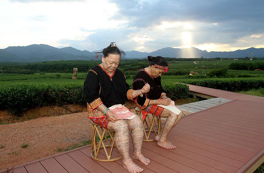 海南宣传片最新，热带风情与独特魅力的完美展示