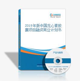 素龙最新项目揭秘，小巷特色小店的独特魅力