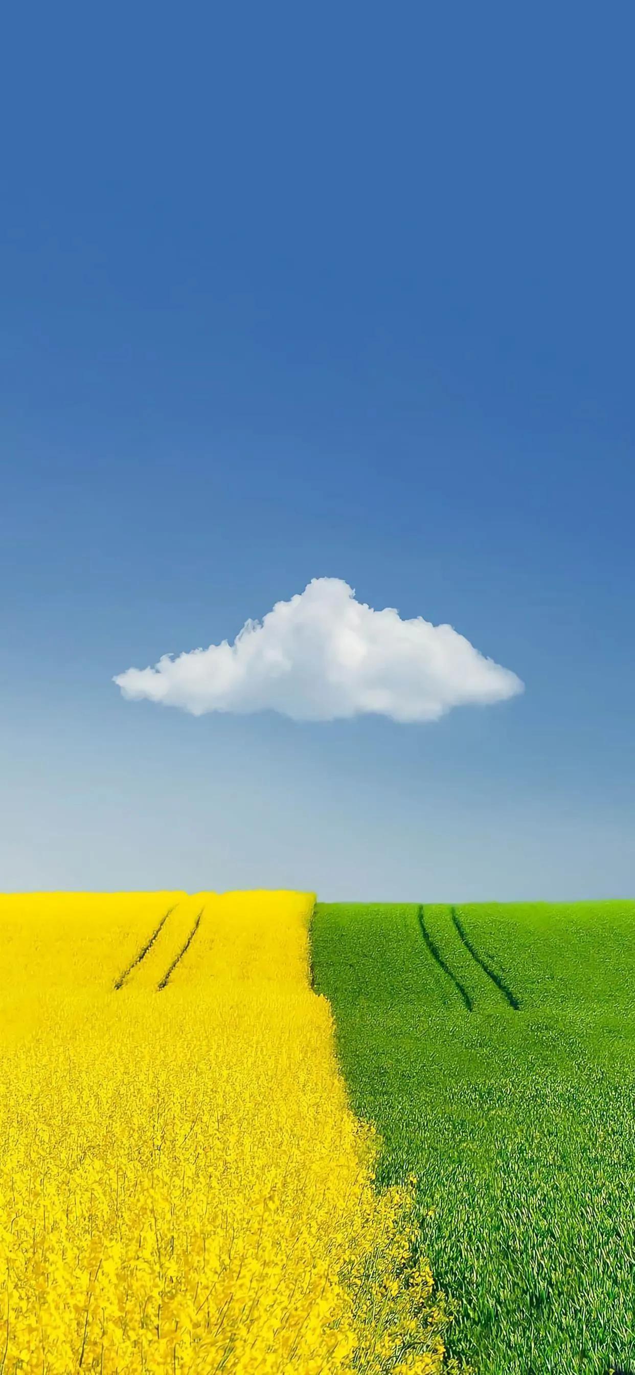 苹果最新款带你开启寻找内心平静的自然之旅