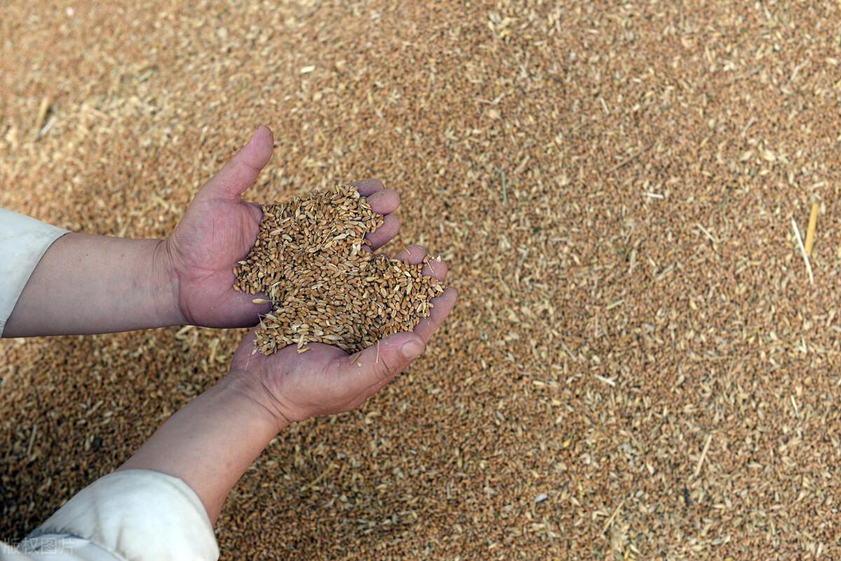 不锈钢链条 第292页