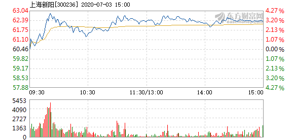 上海新阳股票,上海新阳股票投资步骤指南（适合初学者与进阶用户）