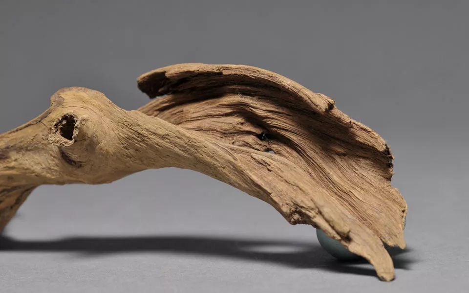 深度解析沉香原木价格走势，市场趋势与影响因素探讨