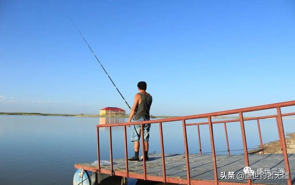 水皮动态，逆流而上，学习变化铸就自信与成就之路