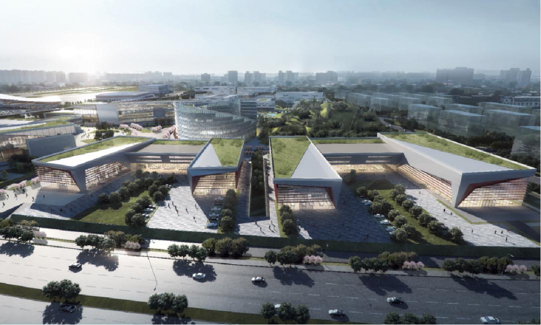 新建城最新动态，全方位城市变革论述揭秘