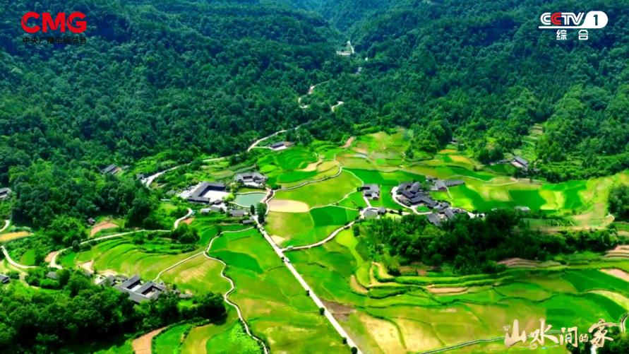张家界市广播电视台，探索媒体融合，引领地方新闻传播新时代