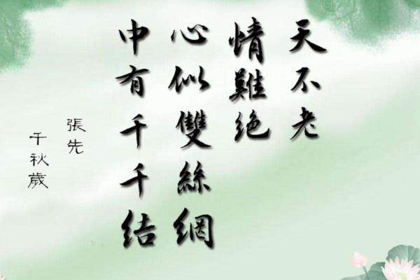 断行情解析，入门新手必读指南