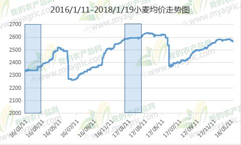 科技引领未来，小麦行情今日走势及最新价格尽在掌握