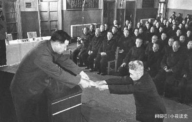 战犯演员表揭秘，友情与陪伴的温馨日常