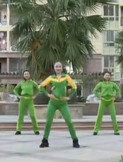 杨丽萍广场舞新装亮相，时尚与传统融合之美赏析