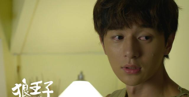 狼王子演员表,科技重塑经典,演绎智能新传奇传奇角色介绍及演员阵容展示