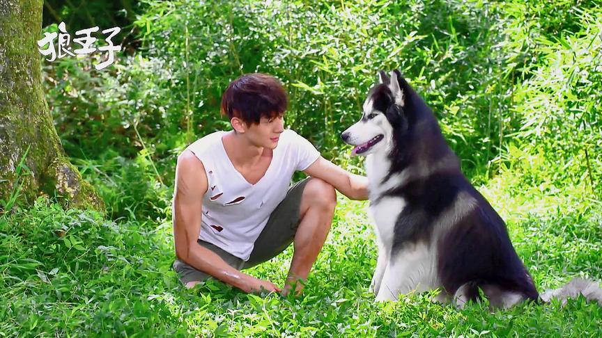 狼王子演员表,科技重塑经典,演绎智能新传奇传奇角色介绍及演员阵容展示