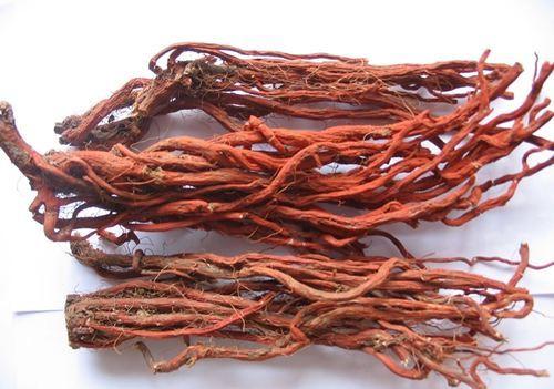 丹参行情,全面了解和操作指南