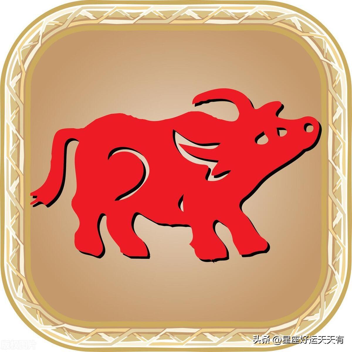 2024十二生肖49个码,专家意见法案_实用版2.853