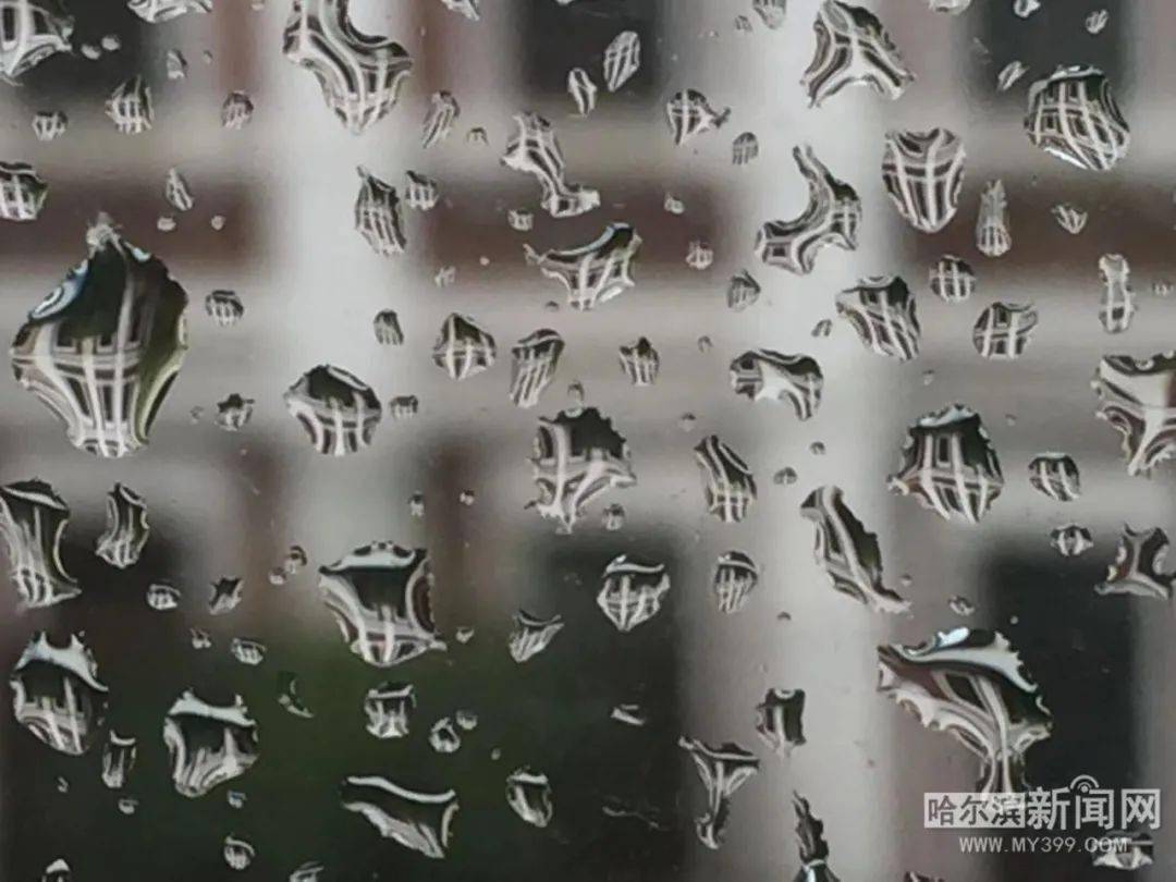 军婚之少校，分寸把握、变化与自信成就的力量